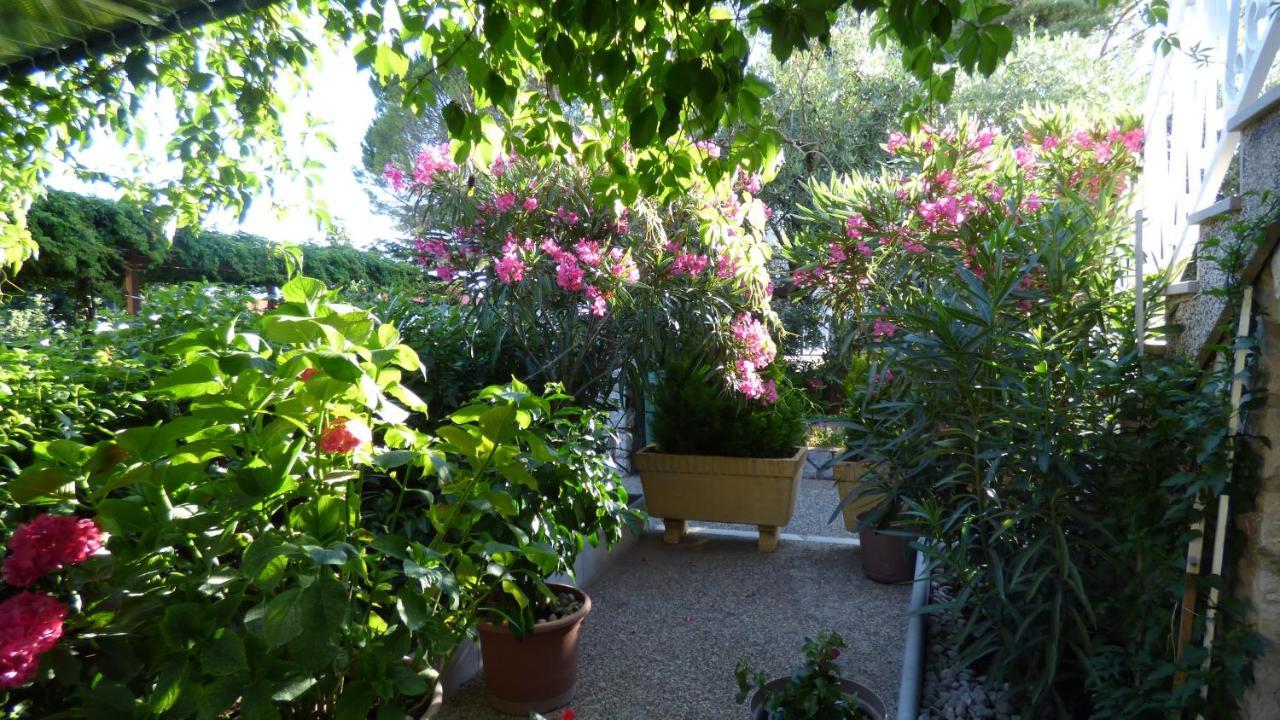 Apartments Dario คิร์ก ภายนอก รูปภาพ