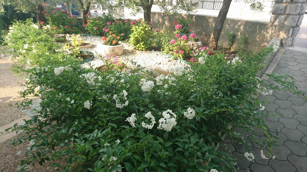 Apartments Dario คิร์ก ภายนอก รูปภาพ